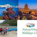 Naturewings holidays ipo